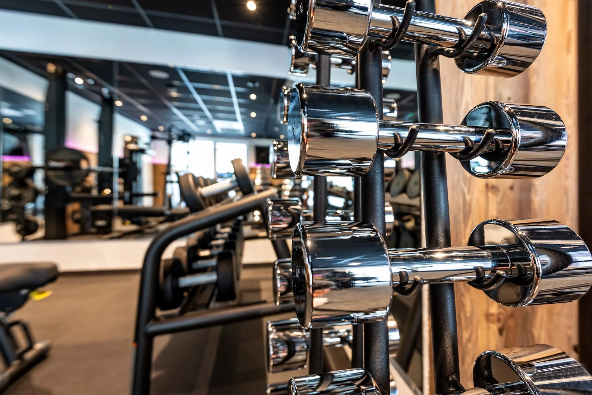 Kurzhanteln im Fitnessbereich
